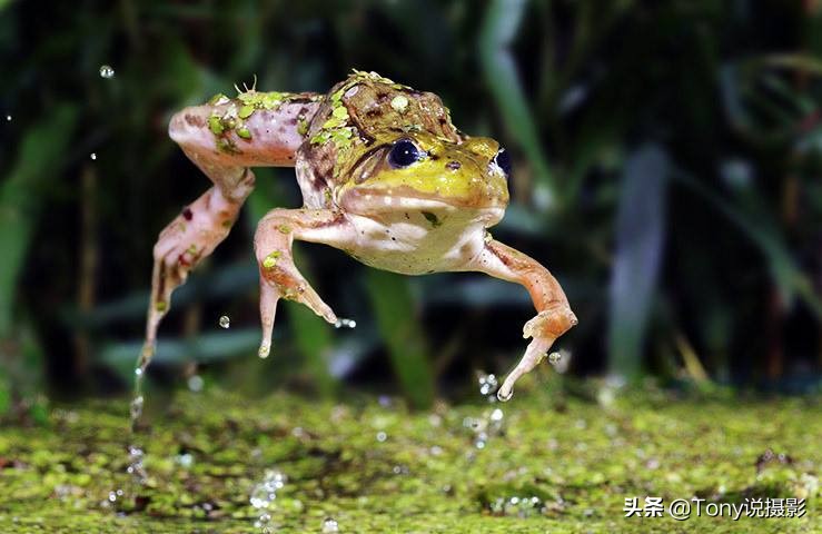 摄影教程什么是快门速度,流光摄影快门速度