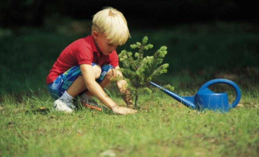 “妈妈,我要买这个”,孩子自控能力差,家长用“CAP原则”改变