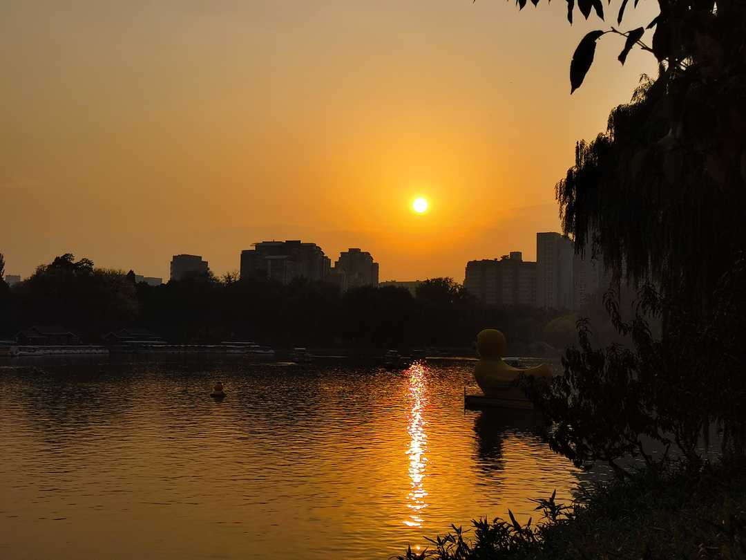 北大口腔医院儿童口腔科看牙,北大口腔医院周六日可以看牙吗