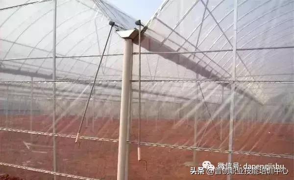 建一个温室大棚大概需要多少人工,温室大棚建造前景