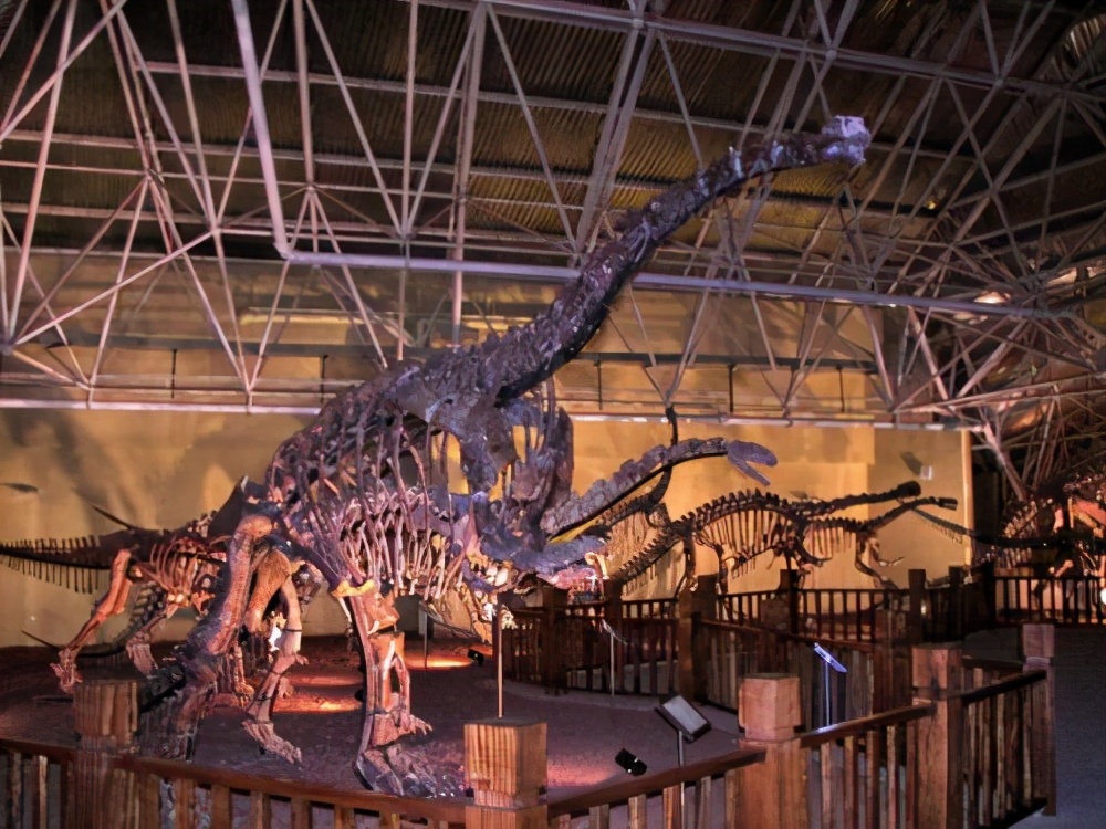 楚雄州旅游景点分类,楚雄4a景区名单