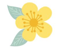 彩铅画玉兰花教程,彩铅玉兰花手绘教程