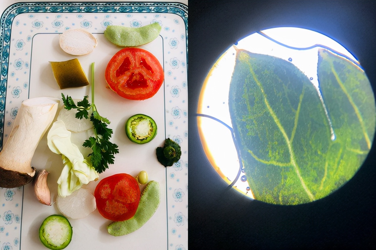 做题手工玩具,男孩子喜欢的益智类玩具推荐