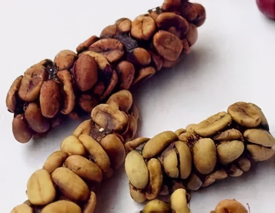 猫屎风味咖啡是真的猫屎咖啡吗,醉忆香猫屎咖啡是真猫屎咖啡吗