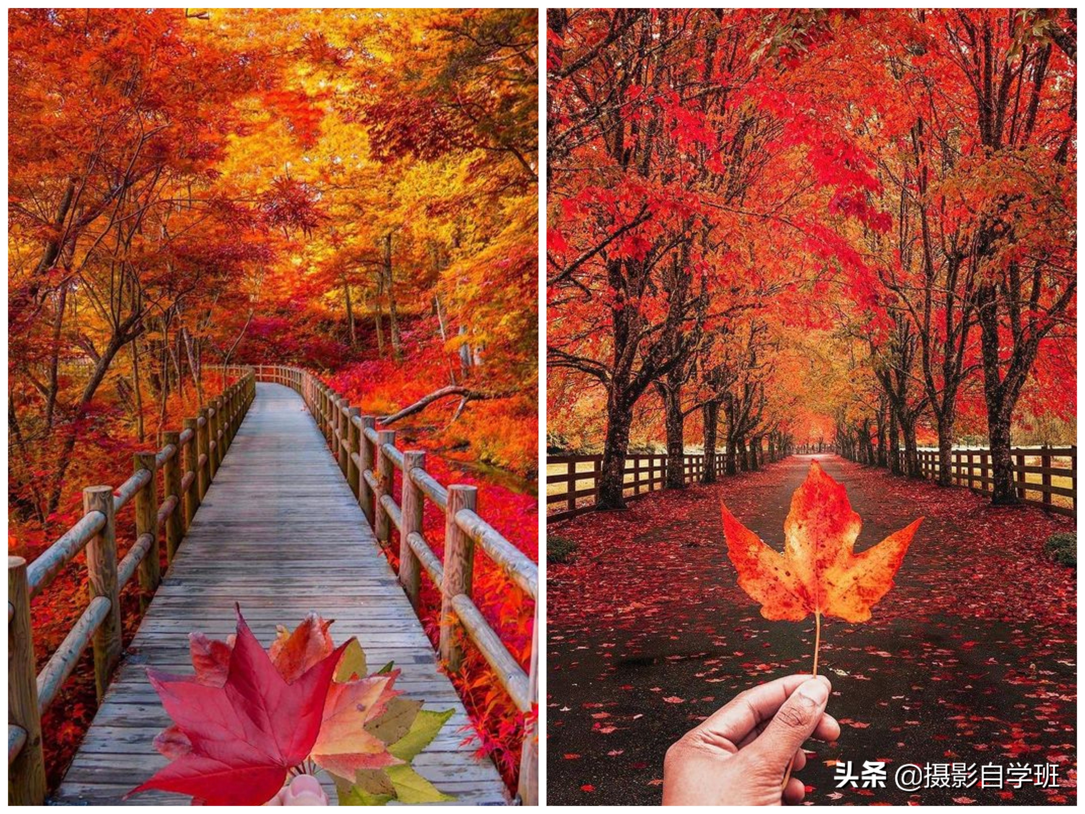 100个风景拍照技巧,风景摄影照片拍摄技巧