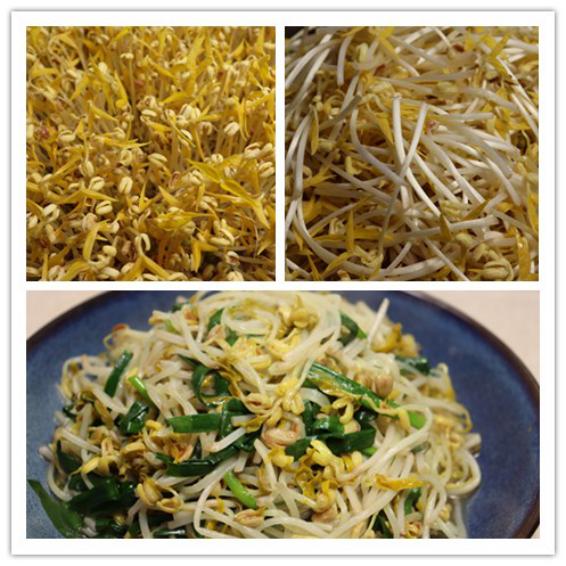 发豆芽的常识和技巧,发豆芽的七个步骤