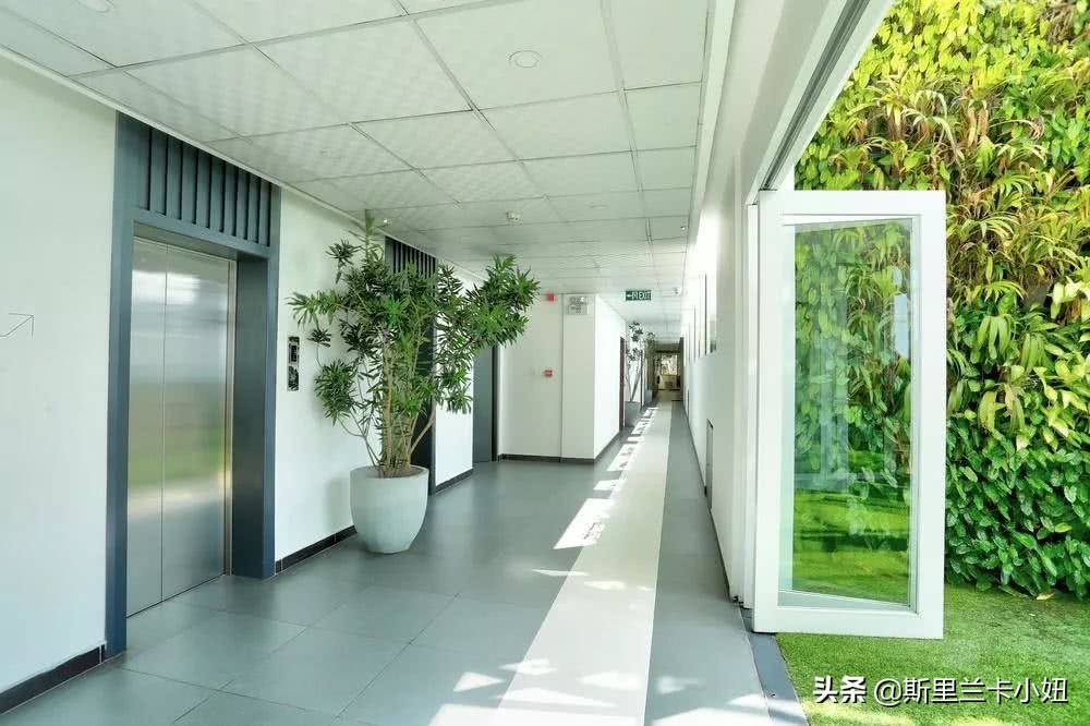 科伦坡淡山茱萸粉ins风酒店:清新艺术气质流行色不仅穿身上