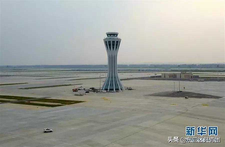 这也太牛了赞,这也太努力了表情包