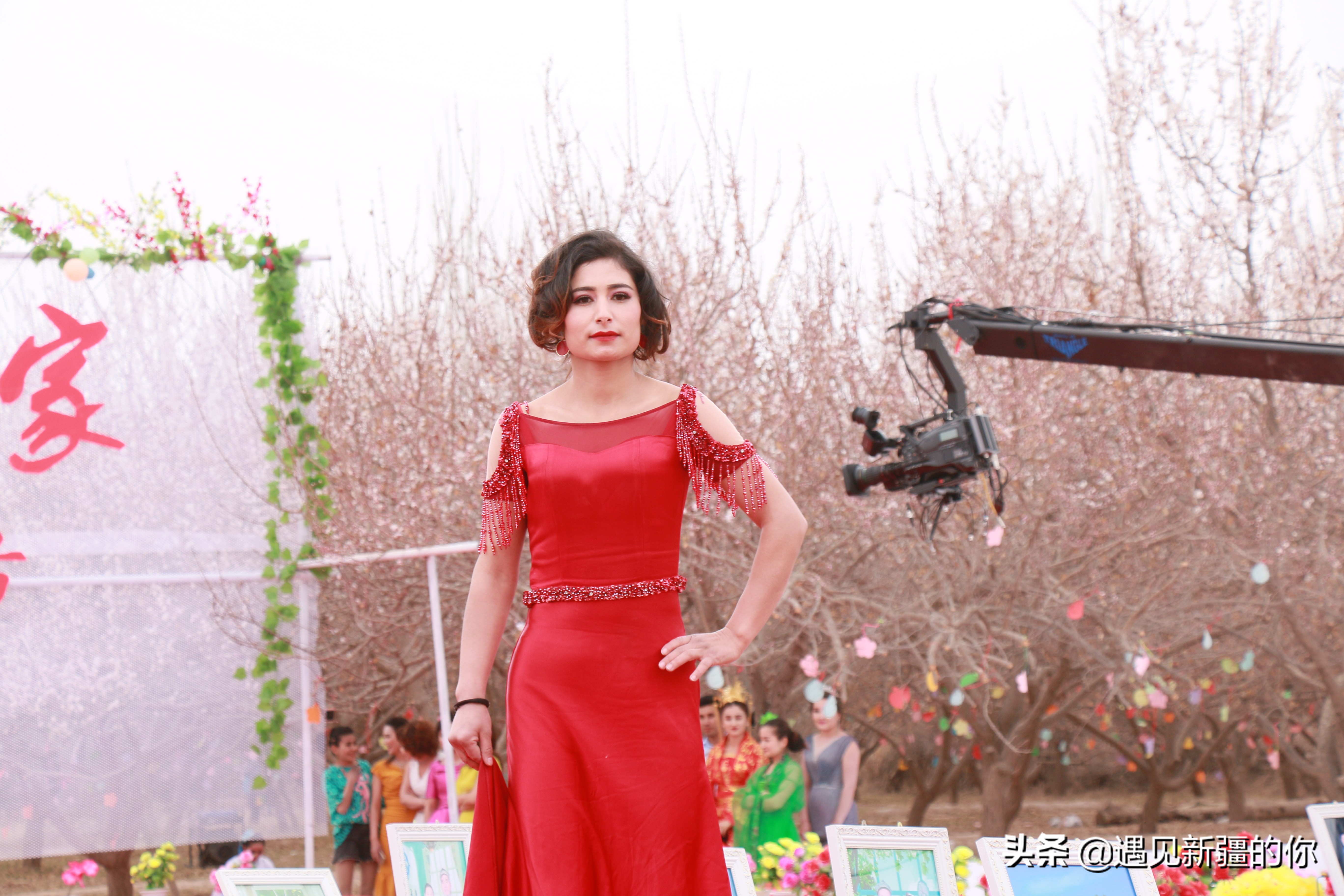 新疆尉犁县杏花节,杏花节旅游