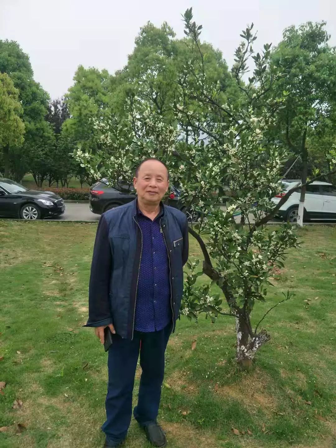 葛王佑保(中英双语)