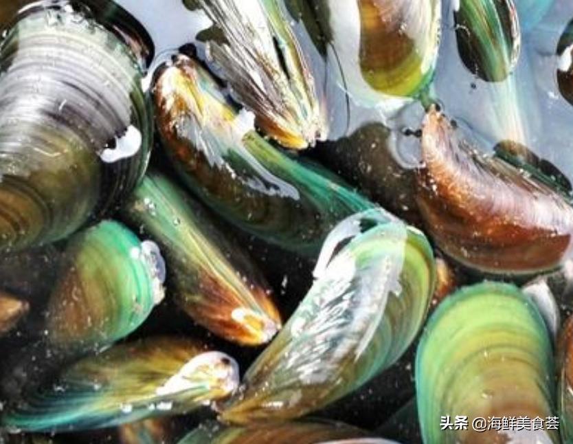 沿海最好吃的菜,好吃的小海鲜都有哪些