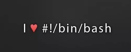 shell脚本编程,shell脚本语法自学入门教程