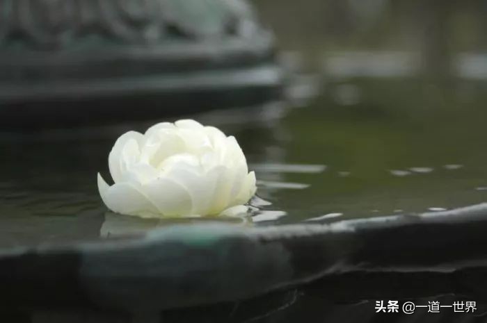 鬼谷子哲学深度解析,鬼谷子的处世哲学试炼