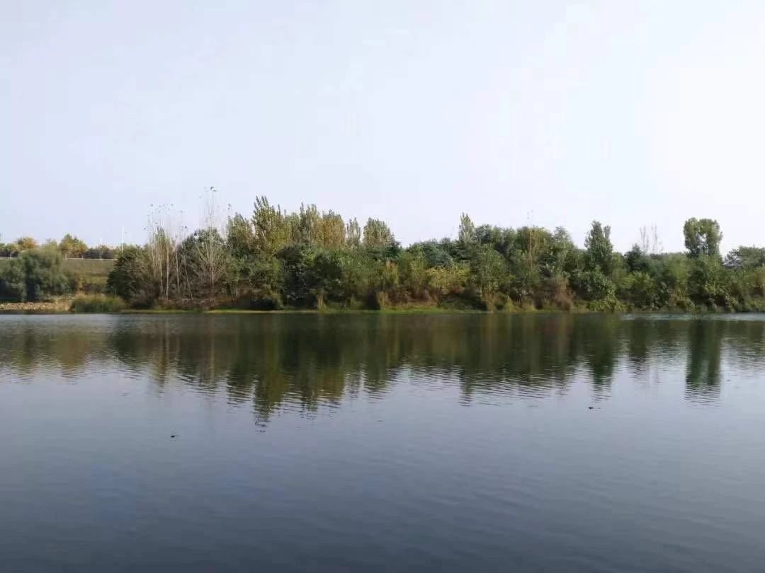 郑州有没有哪些免费的运动场馆,郑州免费开放体育场