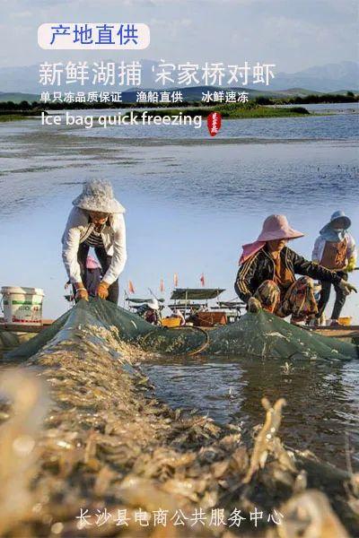 白对虾做法简单又好吃,白对虾怎么做才好吃