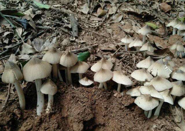 七月去云南吃什么,七月在云南