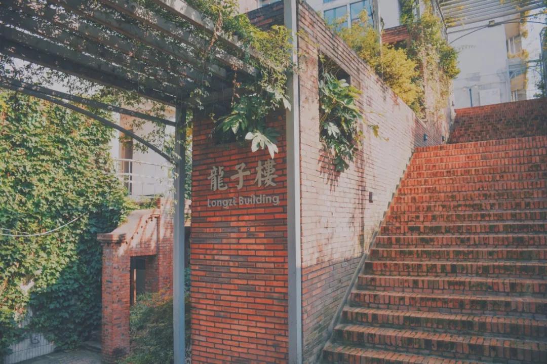 四川国际标榜学院的王牌专业,四川国际标榜职业学院网红