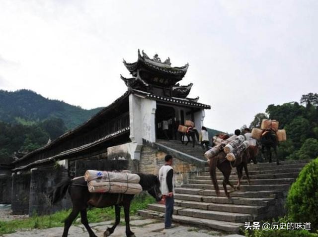 安化黑茶传奇,安化黑茶辉煌的历史