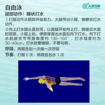 游泳口诀八个字,四种常见游泳方式口诀