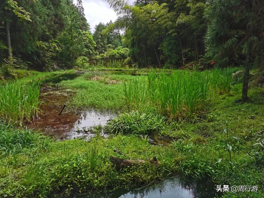 温州文成岭后烂井湖,虽繁华不再,却也有着属于它的传奇故事