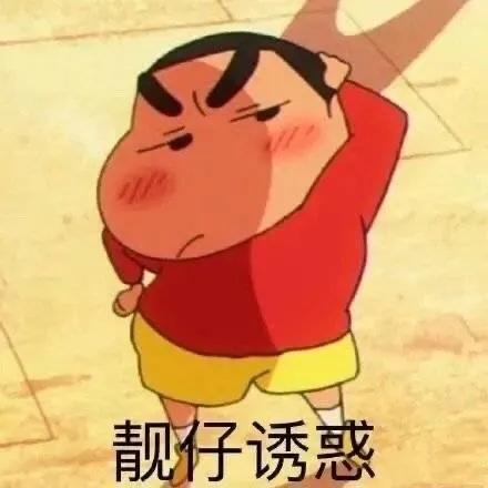 单身都是有原因的表情包,自曝单身求安排表情包