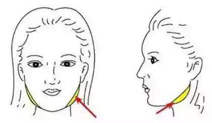 大脸学化妆新手零基础教程,短脸怎么化妆好看教程