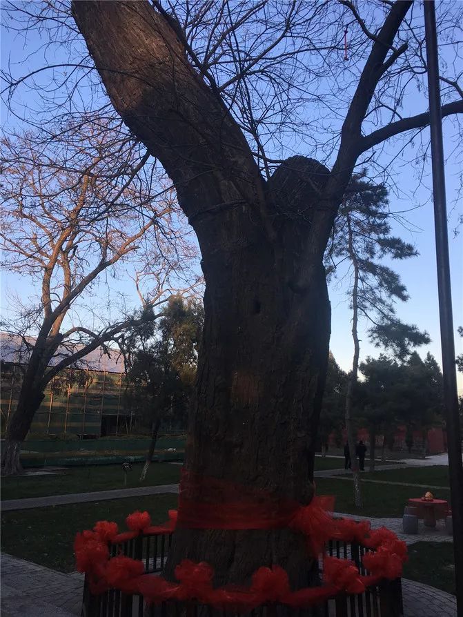 被忽视的3个千年古城,一个被严重低估的千年古城