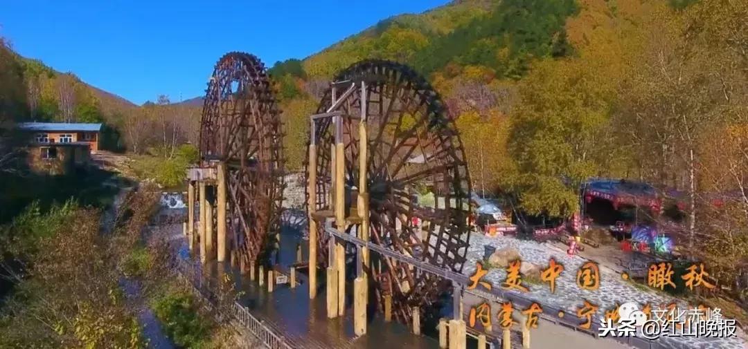 喜大普奔奔小康,喜大普奔区