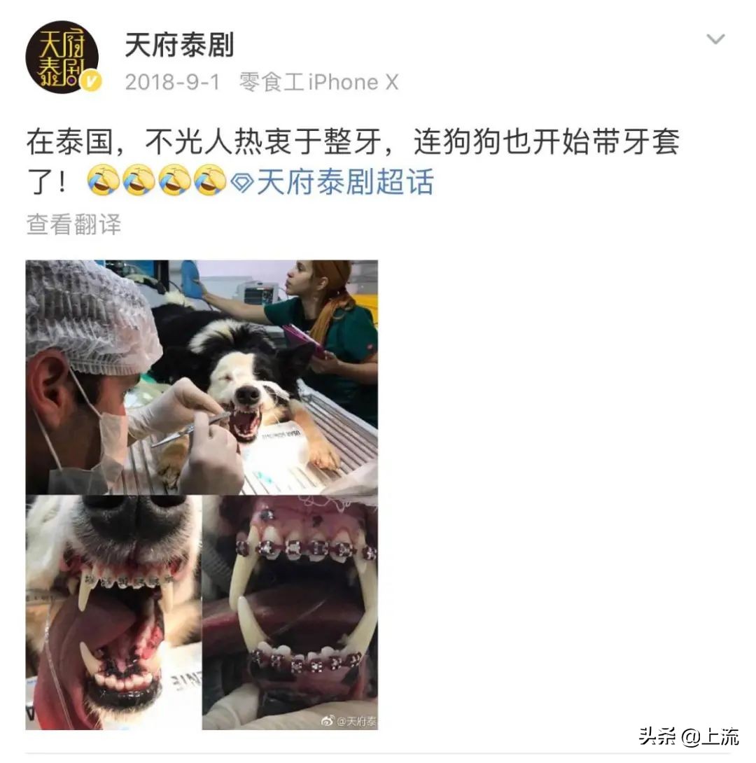 泰国流行戴牙套,泰国最近很火的牙套