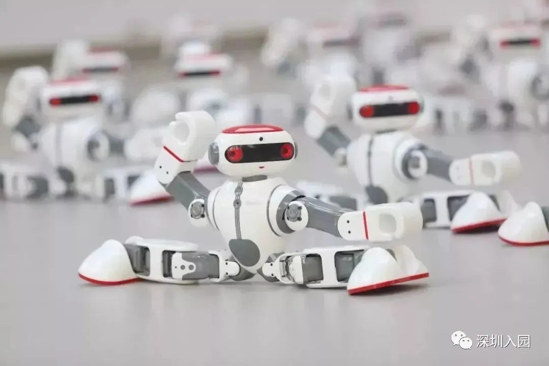 深圳十大最好的幼儿园,有钱你也上不了的深圳四所学校