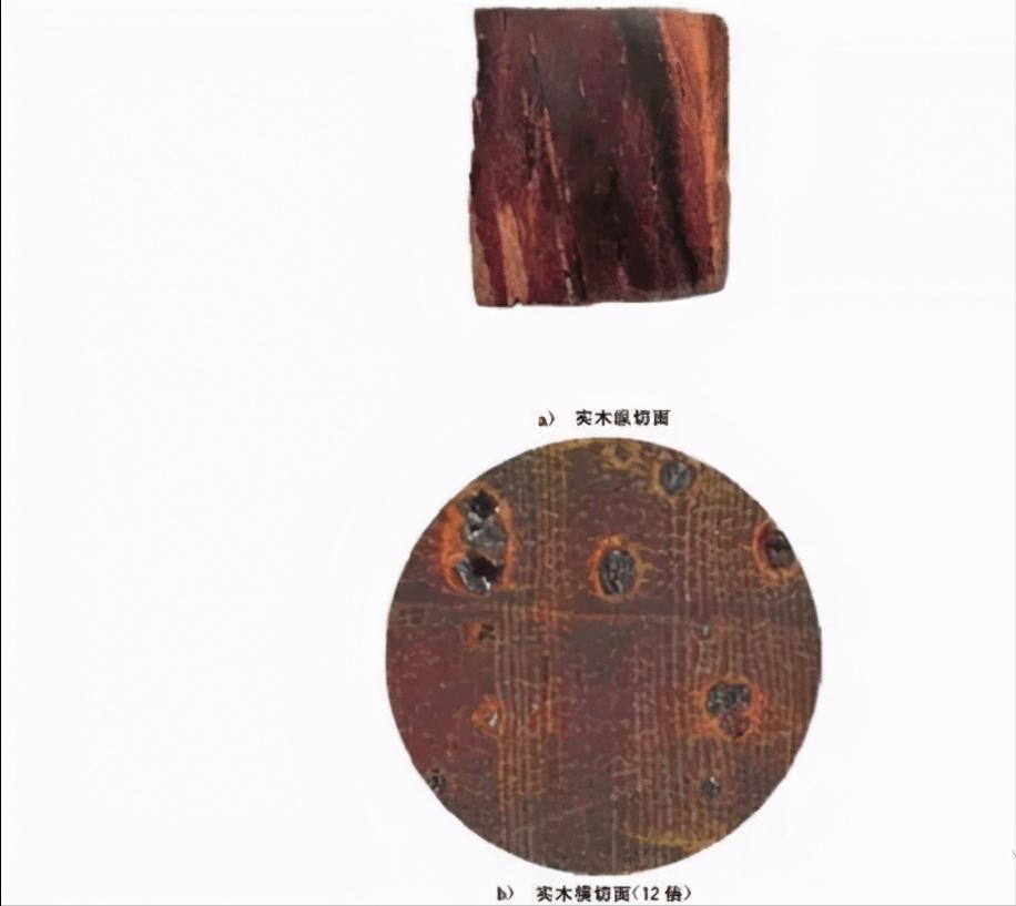 木材知识有哪些,木材知识大全樱桃木