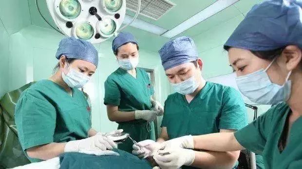 閮芥槸鍦板湴閬撻亾鐨勫啘鏉戜汉,閮芥槸鍦熺敓鍦熼暱鐨勫啘鏉戜汉