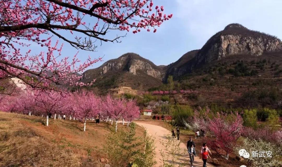 <html>
<head><title>502BadGateway</title></head>
<body>
<center><h1>502BadGateway</h1></center>
<hr><center>nginx</center>
</body>
</html>
<!--apaddingtodisableMSIEandChromefriendlyerrorpage-->
<!--apaddingtodisableMSIEandChromefriendlyerrorpage-->
<!--apaddingtodisableMSIEandChromefriendlyerrorpage-->
<!--apaddingtodisableMSIEandChromefriendlyerrorpage-->
<!--apaddingtodisableMSIEandChromefriendlyerrorpage-->
<!--apaddingtodisableMSIEandChromefriendlyerrorpage-->
