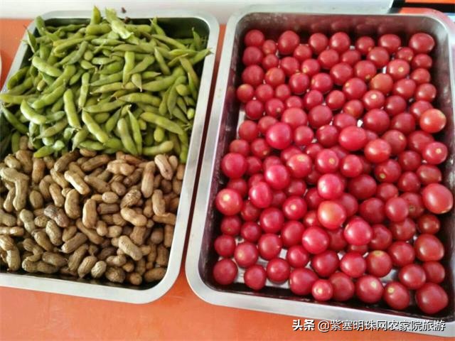 天津滨海新区吃海鲜渔村,天津滨海吃皮皮虾