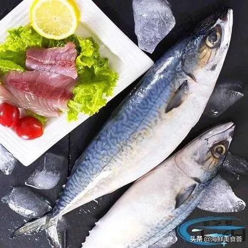 哪种海鱼最好养又便宜又好吃,便宜耐养的海鱼有哪些种类