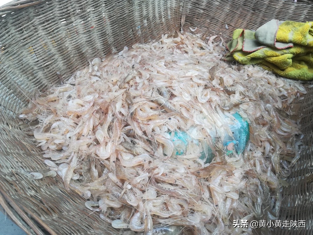 外省人眼中的陕南,游客眼中的干净本地人的荒凉