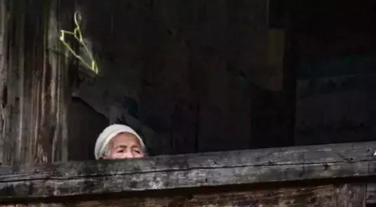 杭州90后姑娘大山里养牛,临安美女养牛