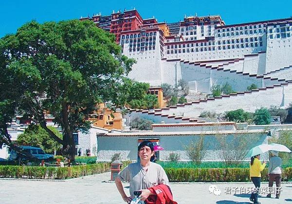 西藏之行布达拉宫,西行散记布达拉宫
