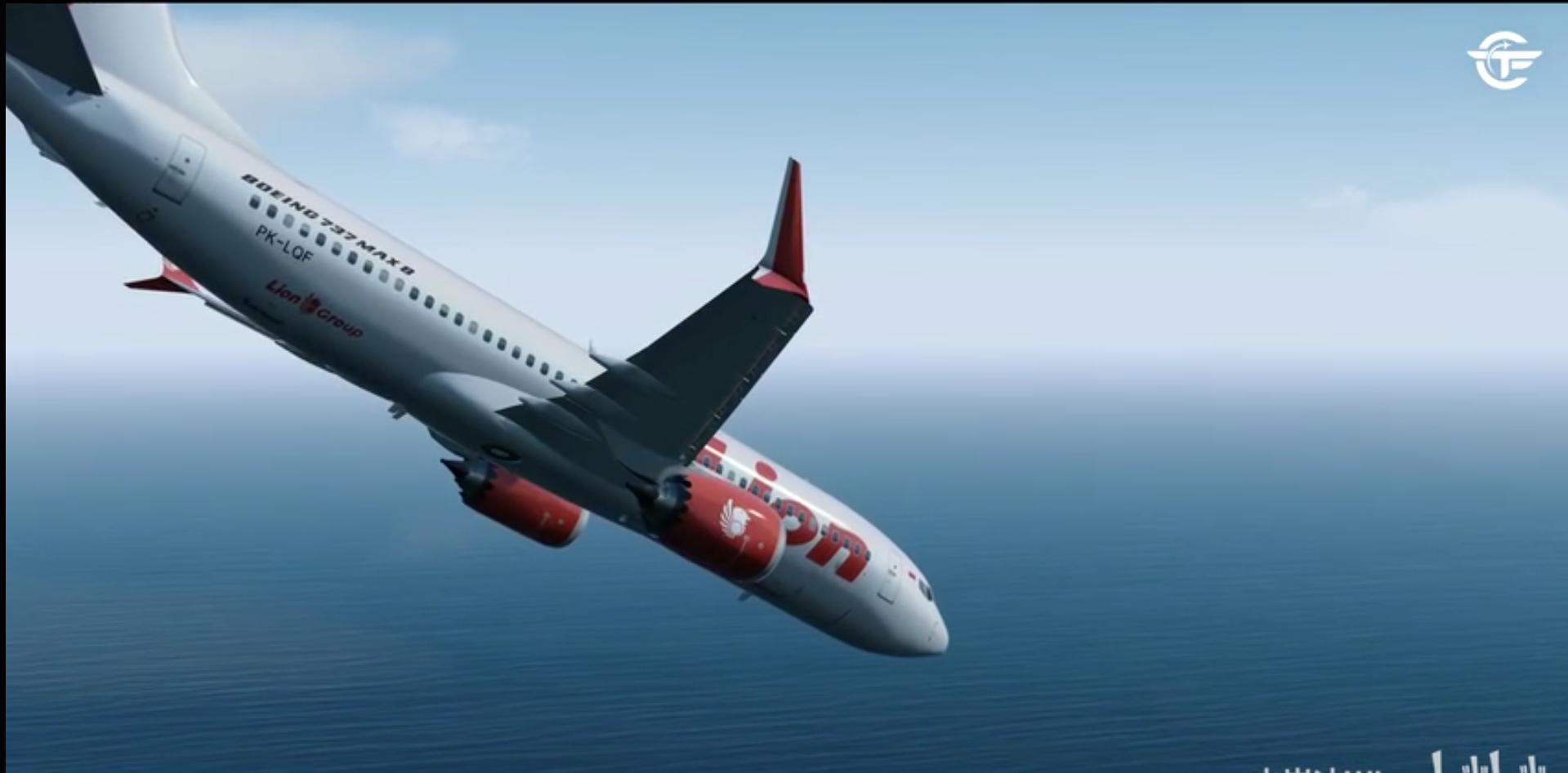 737max8狮子,737max8客机视频