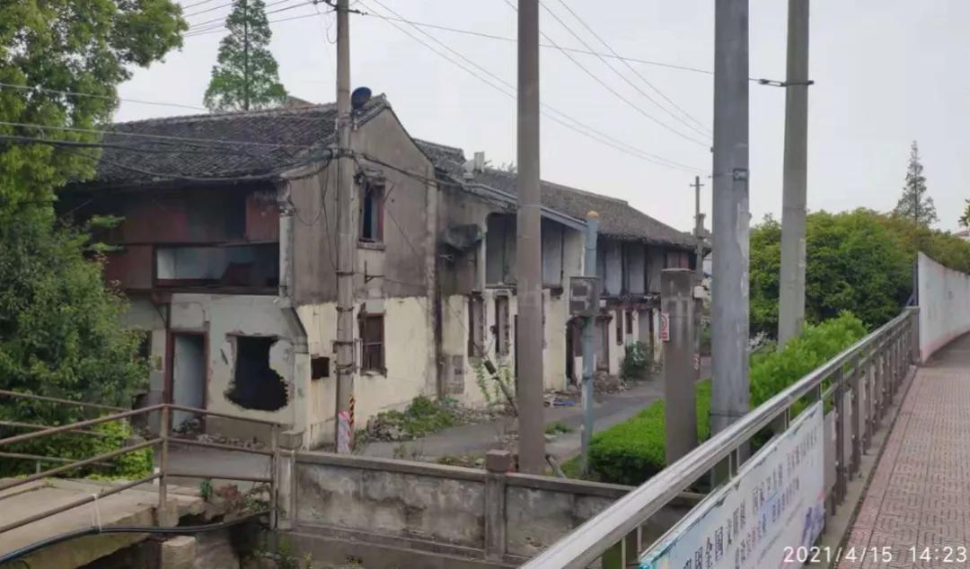 上海这个板块未来值得期待,上海的多肉品种