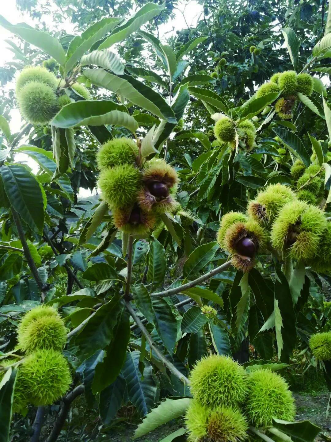 沈阳10月新闻,2018年12月11日沈阳新闻