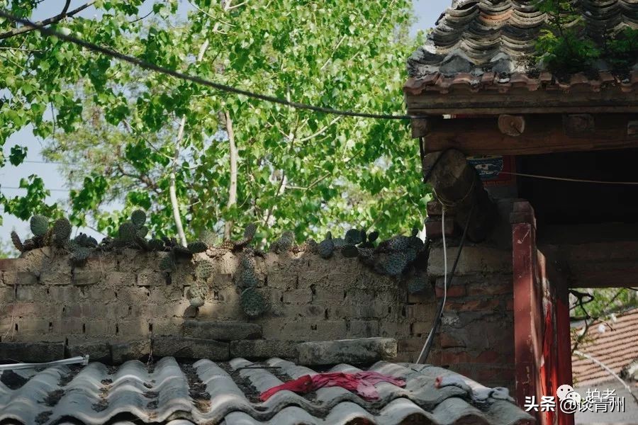 大衣哥朱之文买新车引围观,大衣哥朱之文被农民围观