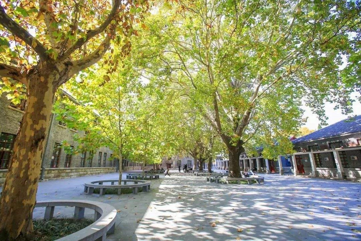 山东一所让人分不清是几本的大学，拥有2个校区，占地3061亩