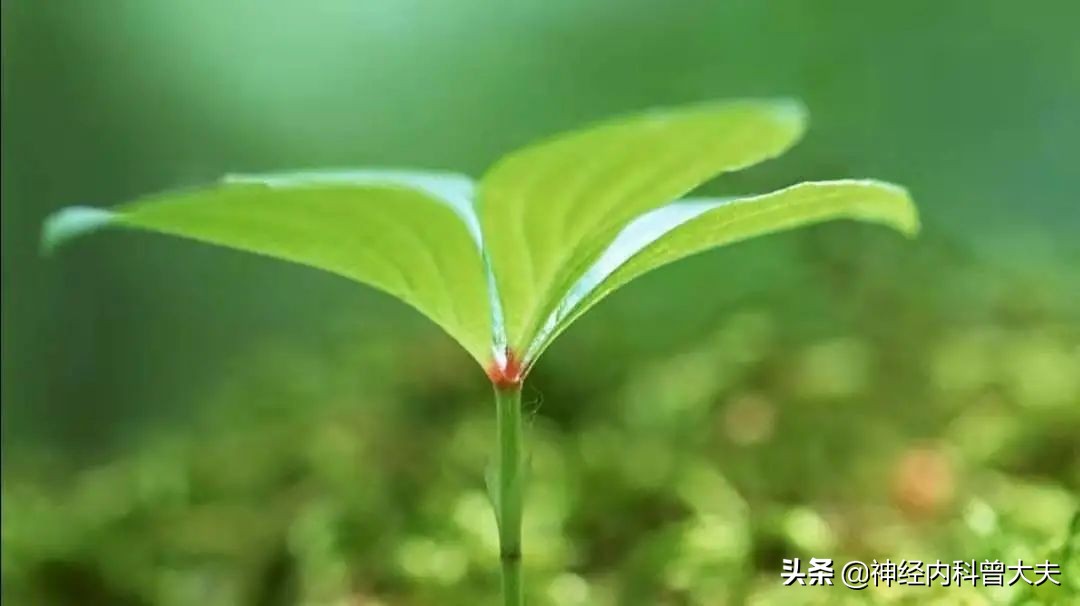 年仅37岁脑中风,当脑出血碰上脑梗死该怎么办