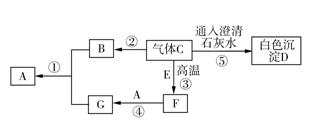 碳和碳的氧化物化学方程式,初三化学碳和碳的氧化物思维导图