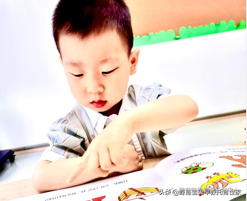 小橙子成长日记,我和橙子的成长日记