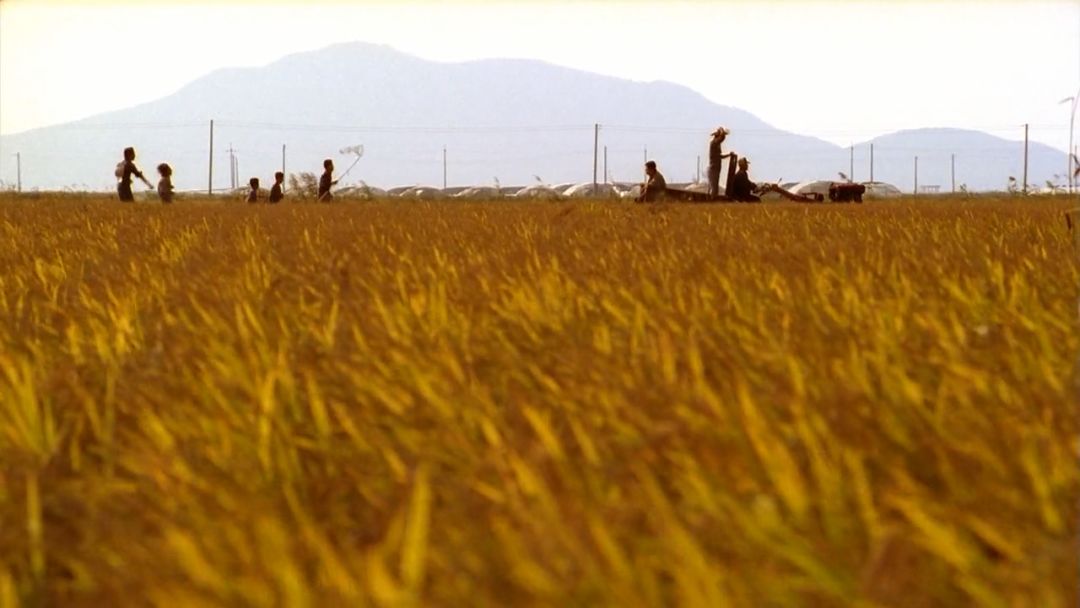 电影杀人回忆嫌疑人找到了,杀人回忆电影原型案件