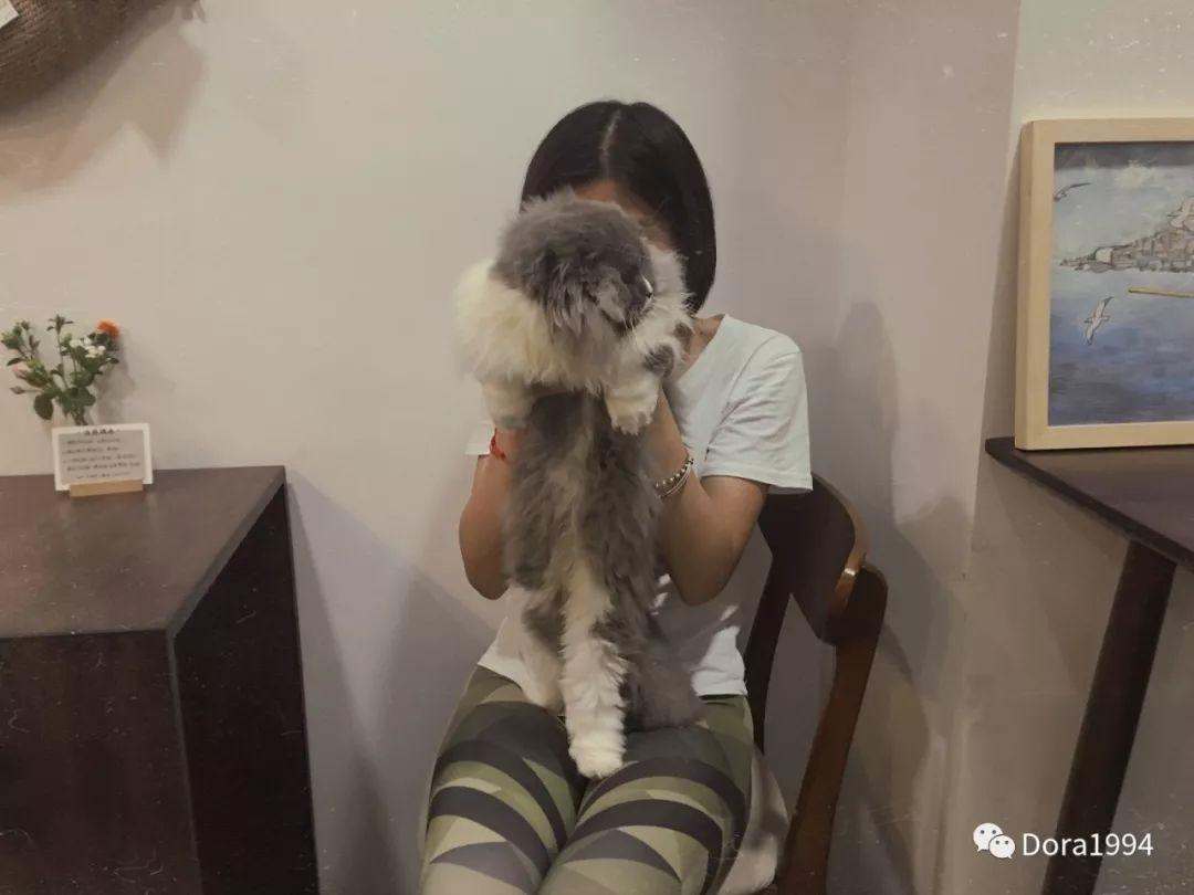 深圳适合放松的咖啡厅,深圳适合一个人打卡拍照的咖啡厅