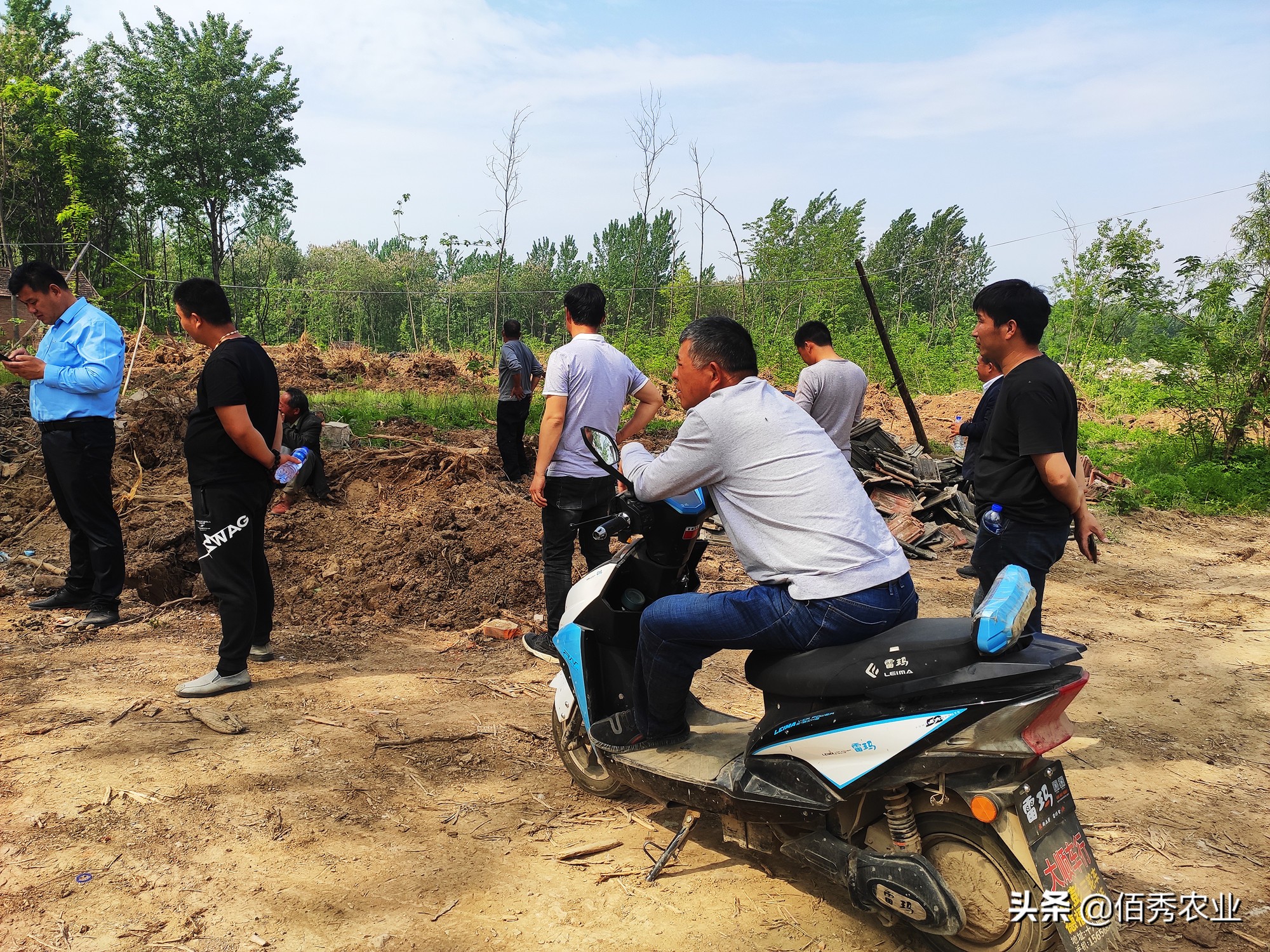 想致富搞养殖养羊好还是养牛好,养羊和养牛哪个更赚钱前途好