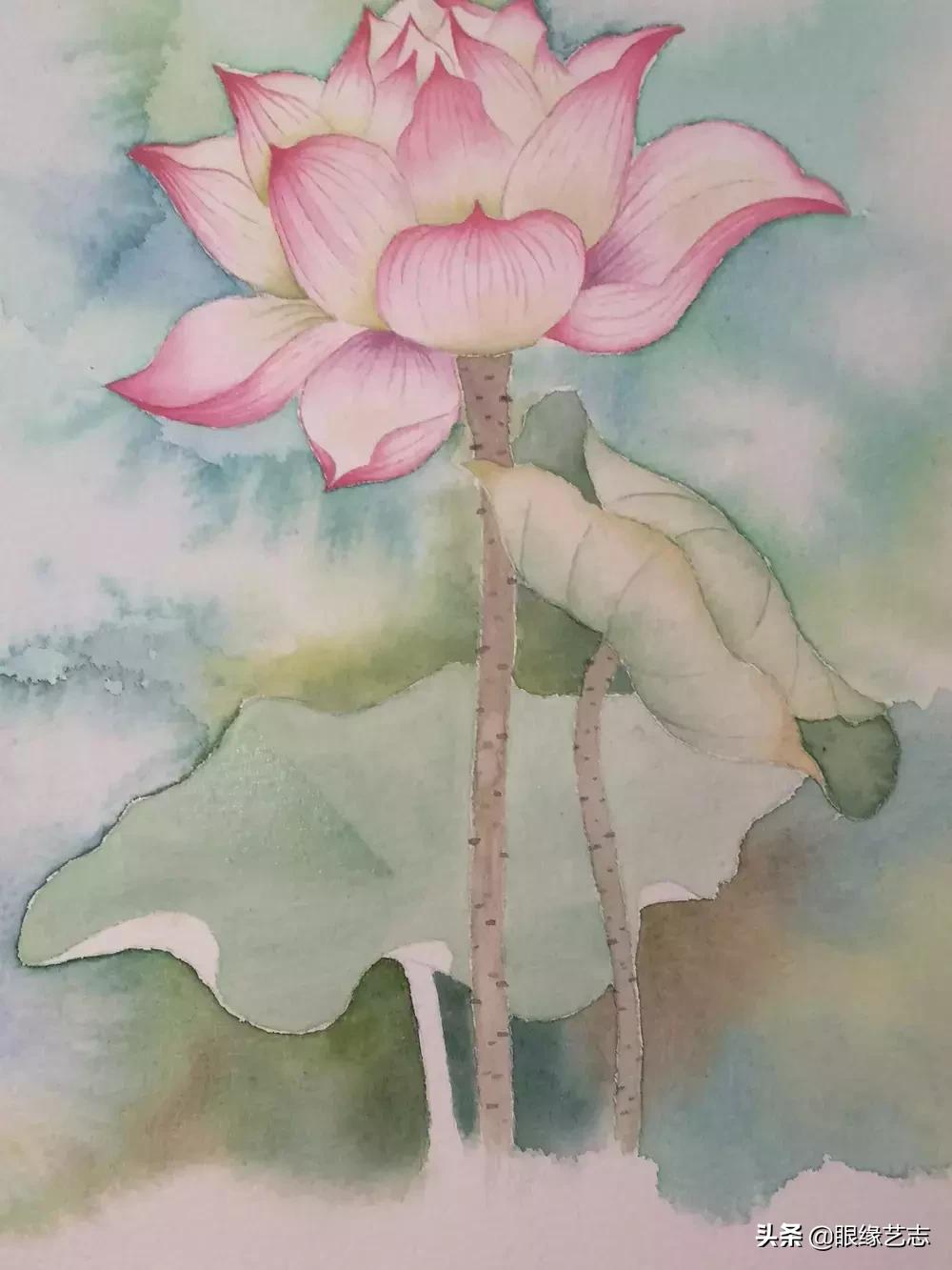 水彩莲花画法教程,白色荷花水彩画法教程